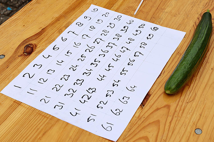 SDWAdag en avond_161